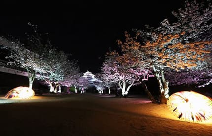 松山城内をライトアップ