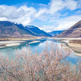 ［林芝］中国旅行・チベット自治区